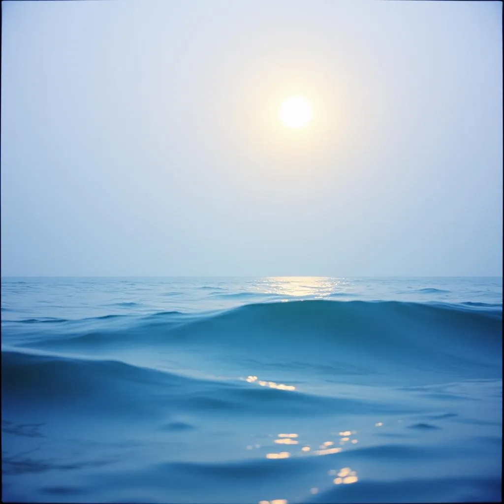 Dreamland Echoes
