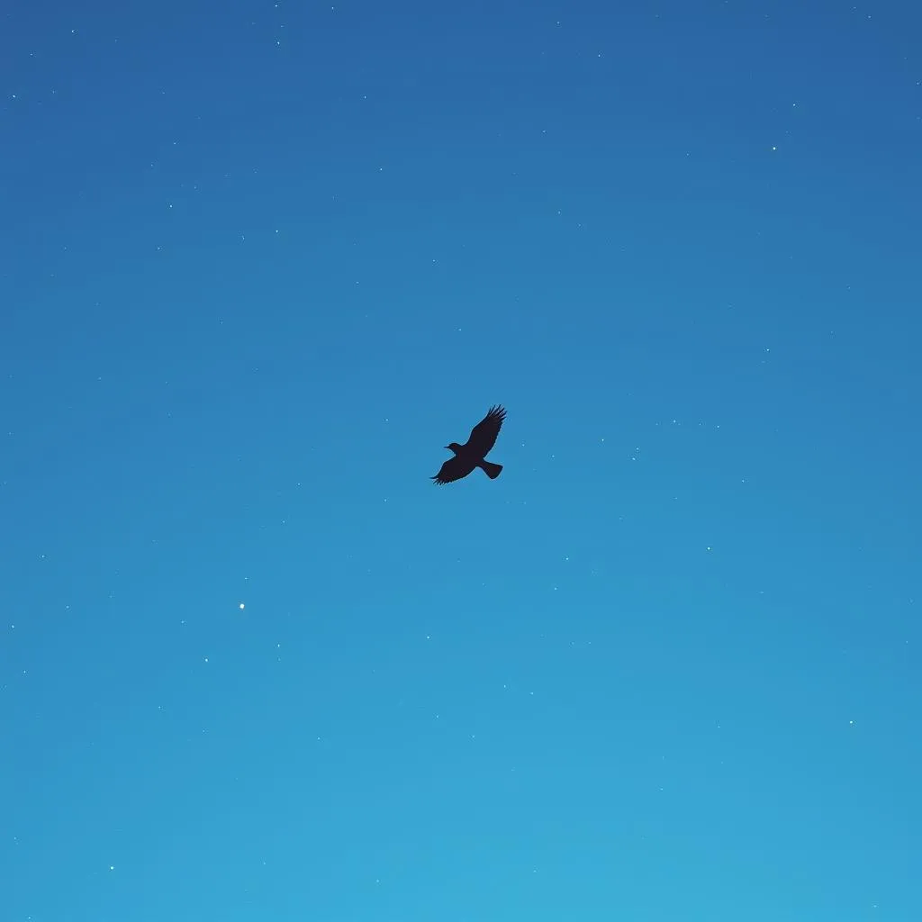 Fly again