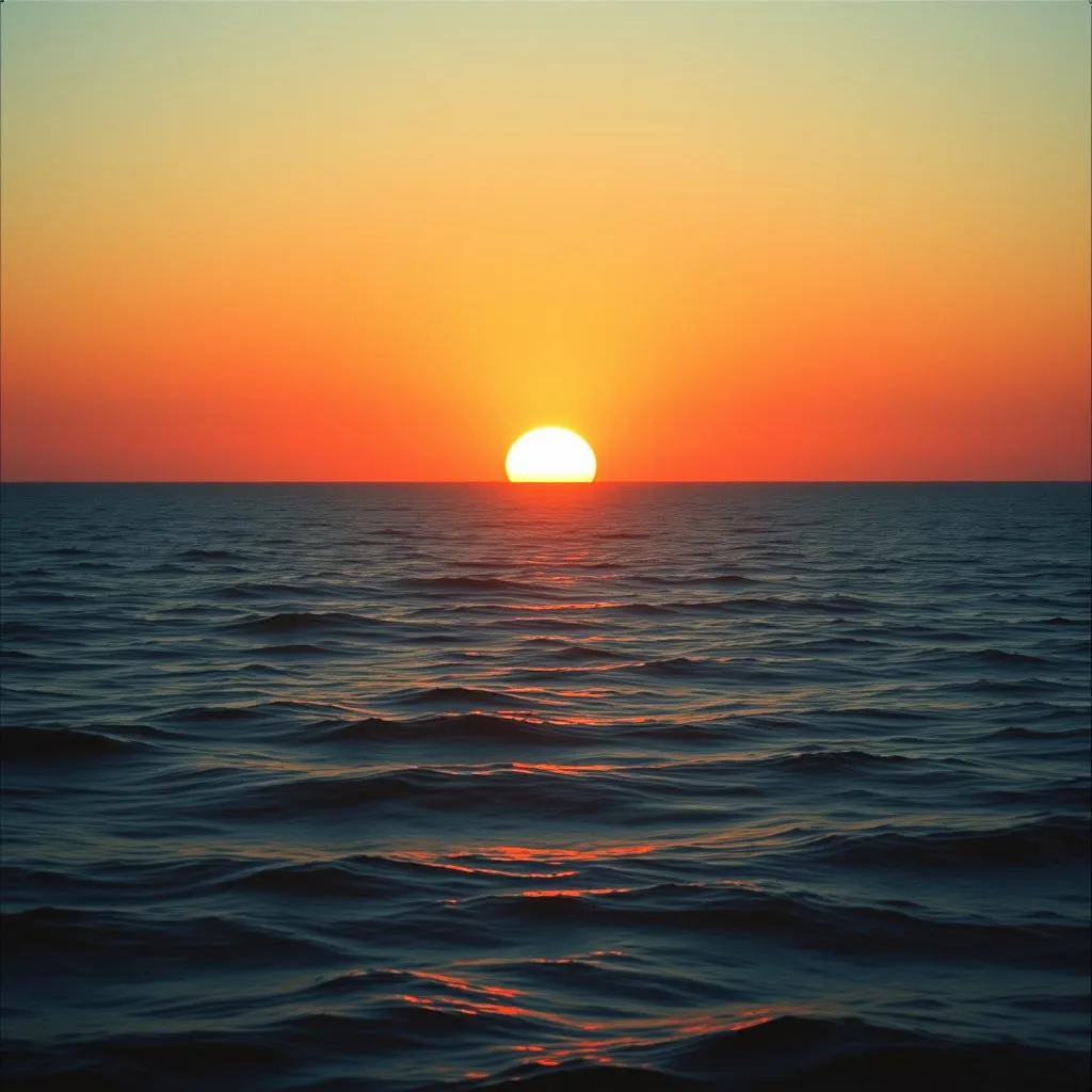 The sun