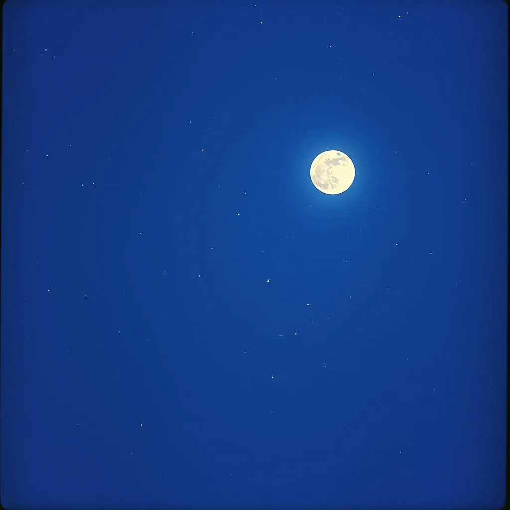 Midnight Serenade 