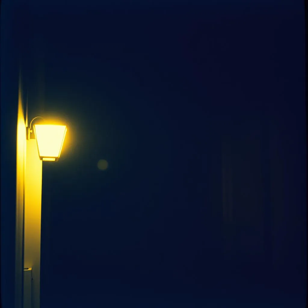 Under the Lone Lamp