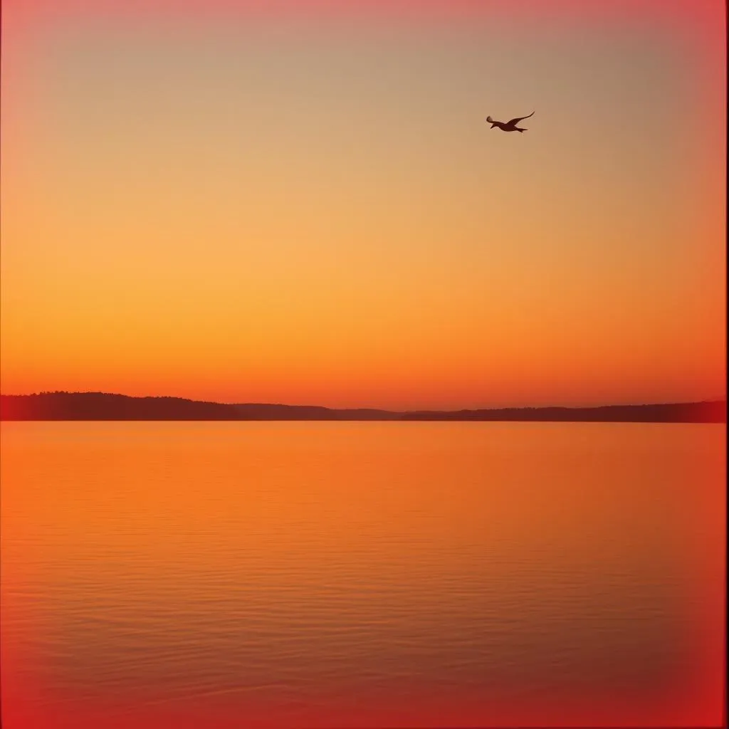 Christopher Lamont