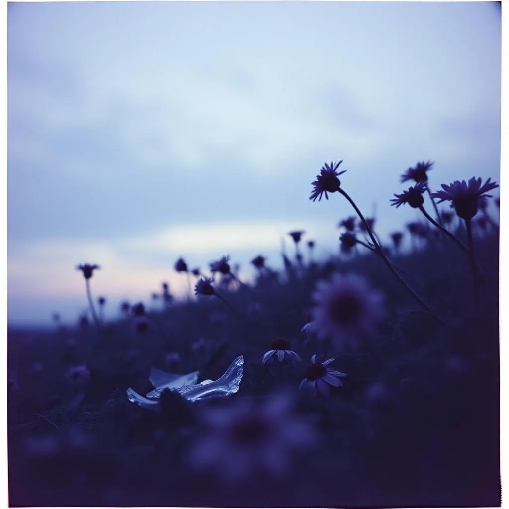 Shattered Petals