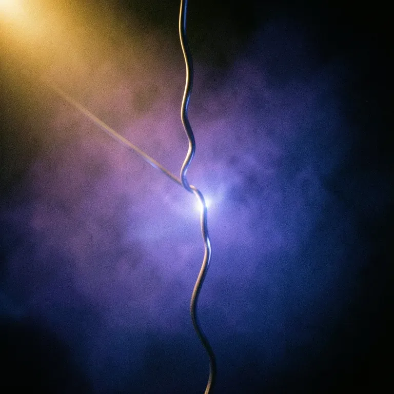 Fly on the Wire