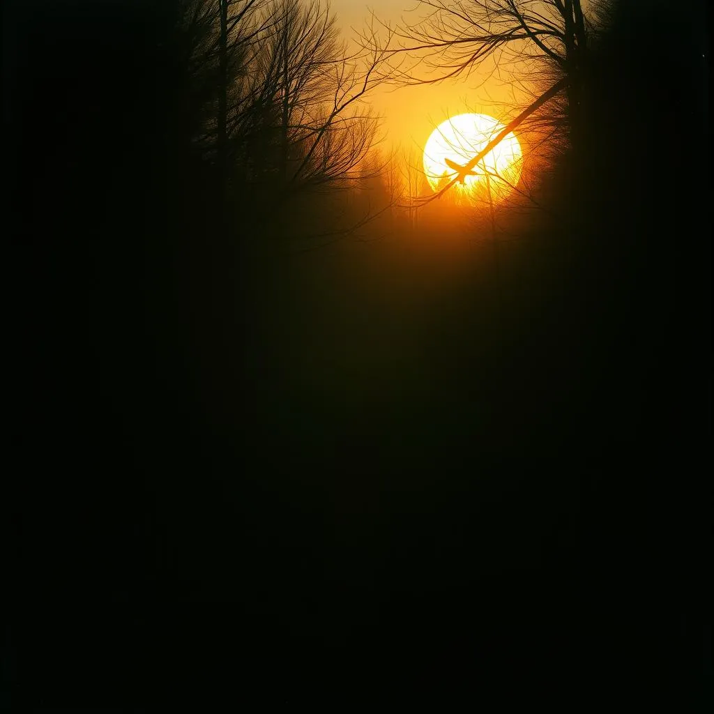 Rise Into the Light