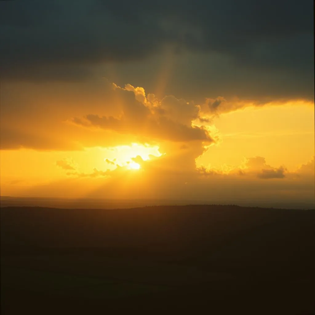 Sunshine Through the Storm