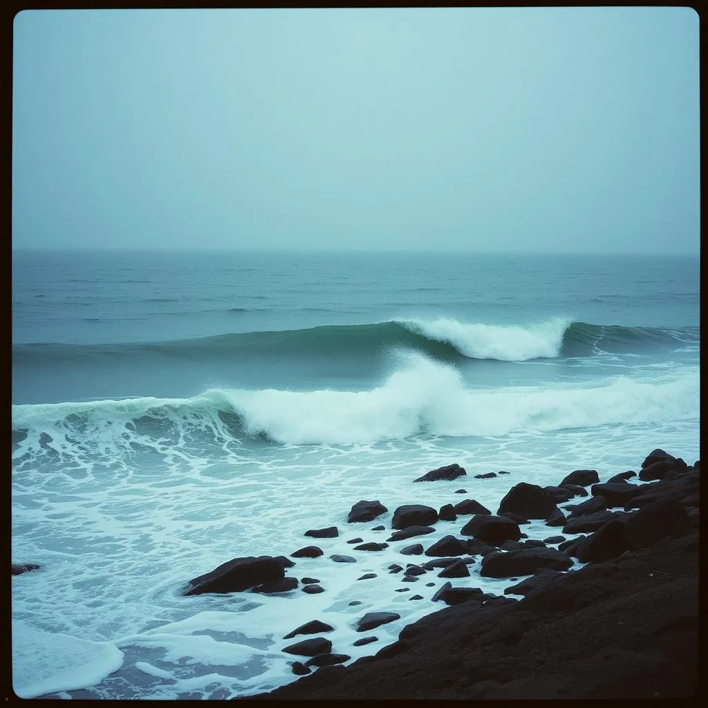 Inside the Storm