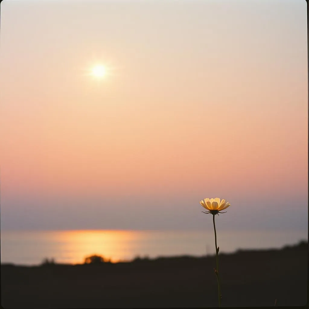 A light that shine too soon