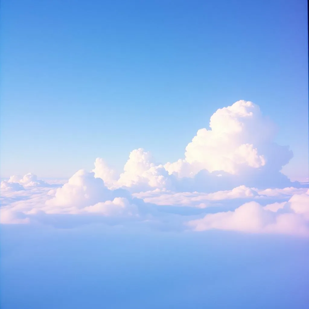○xYgɛN