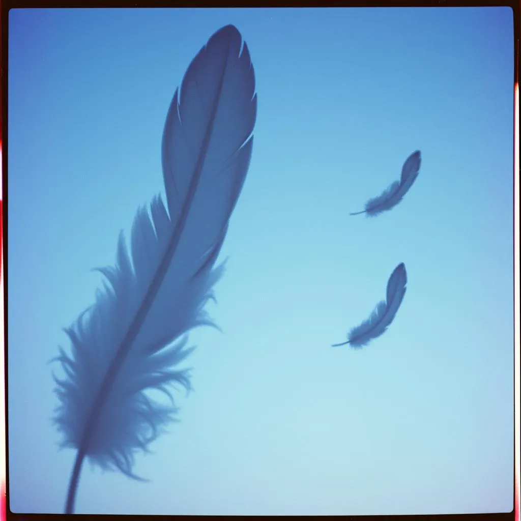 These Wings