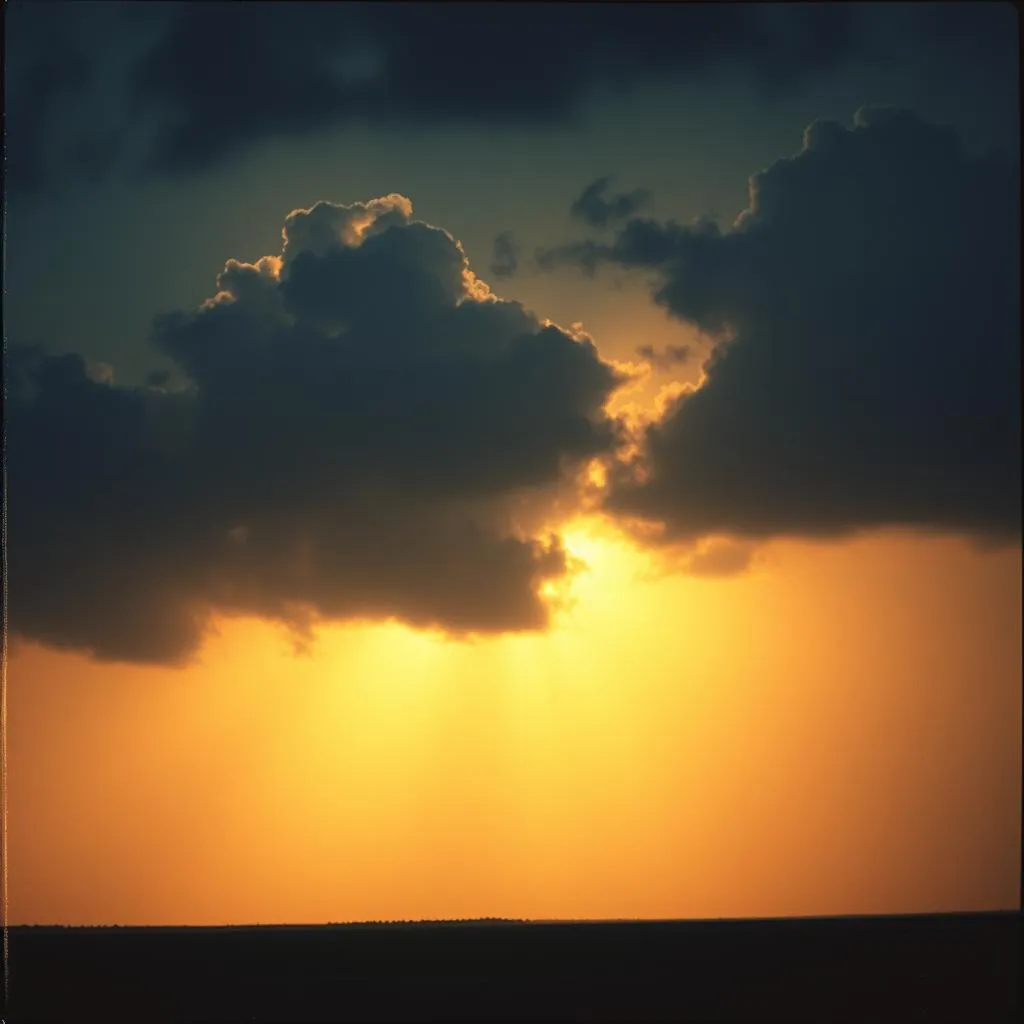 Through the Storm