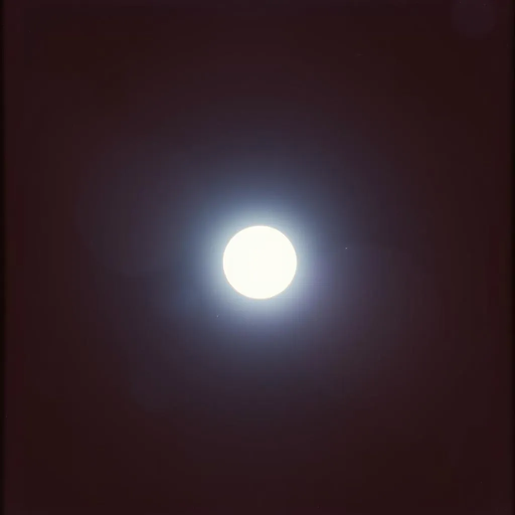 Shine