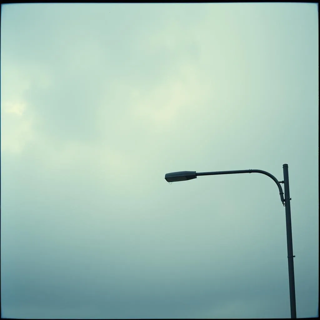 Rainy daze