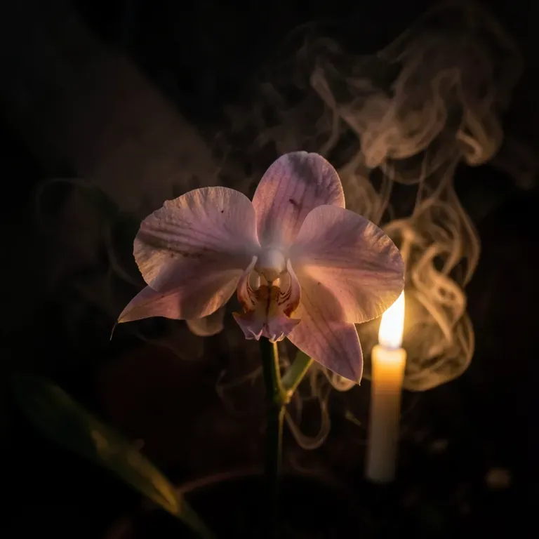 Last breath