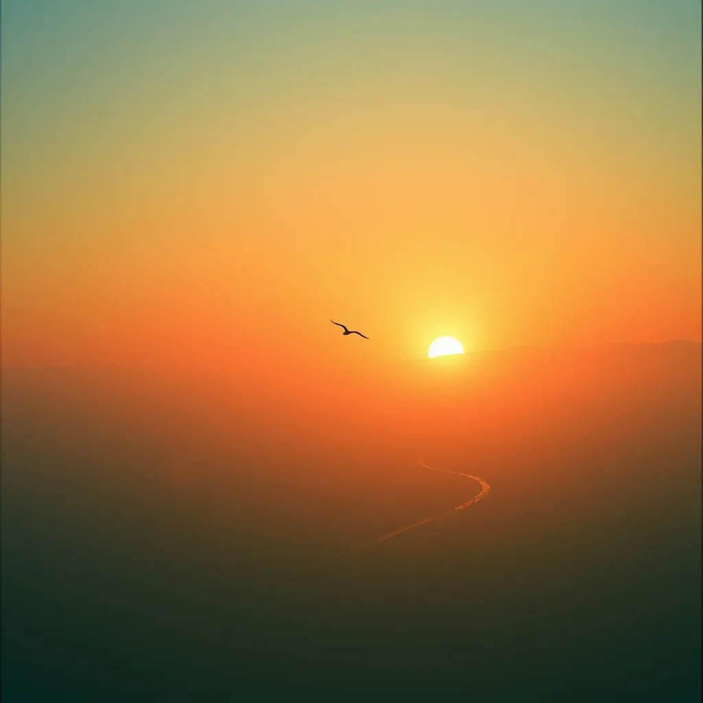 Chasing Dawn