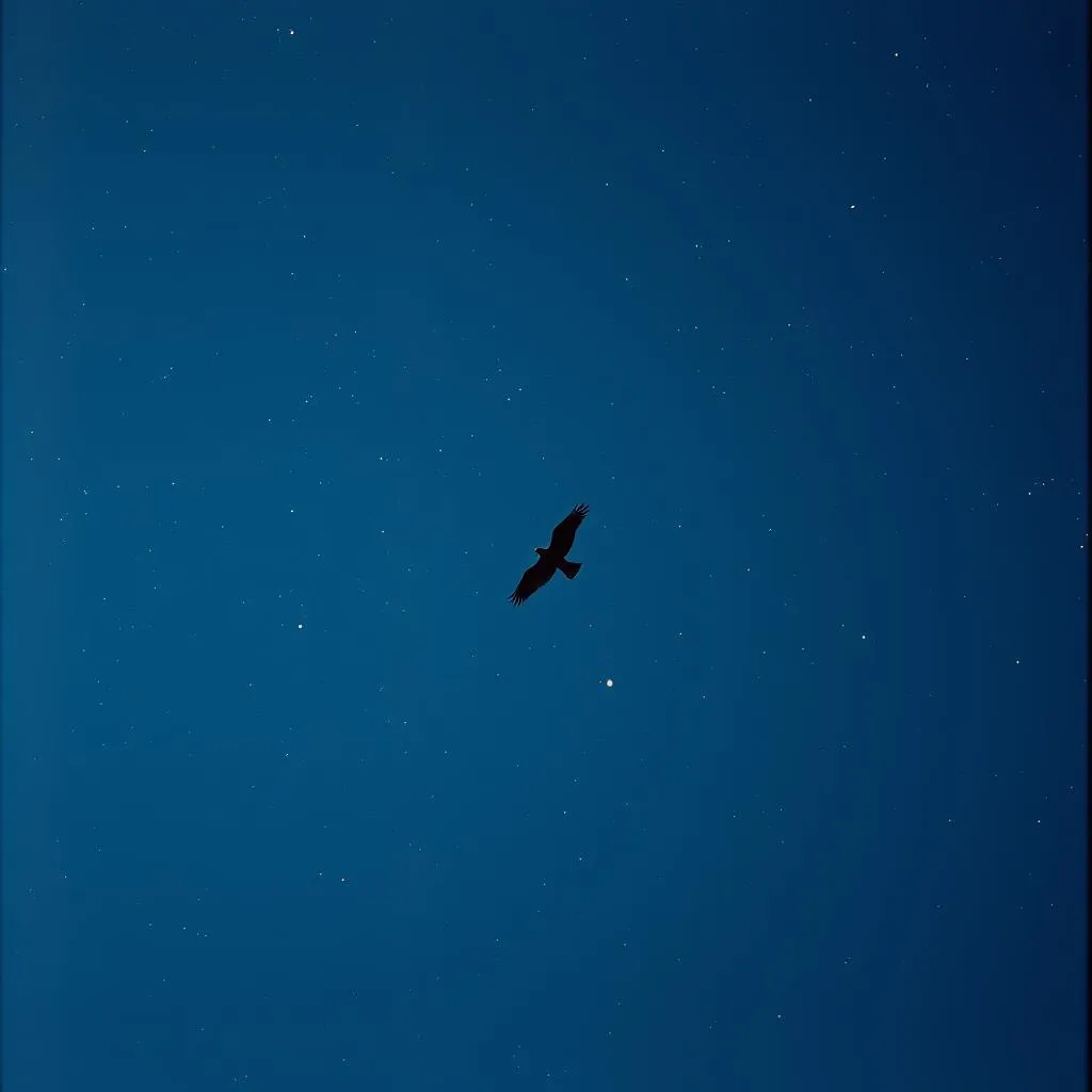 Wings to Fly