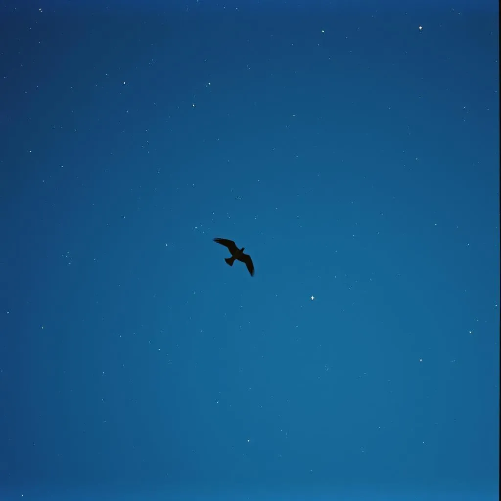 Wings to Fly