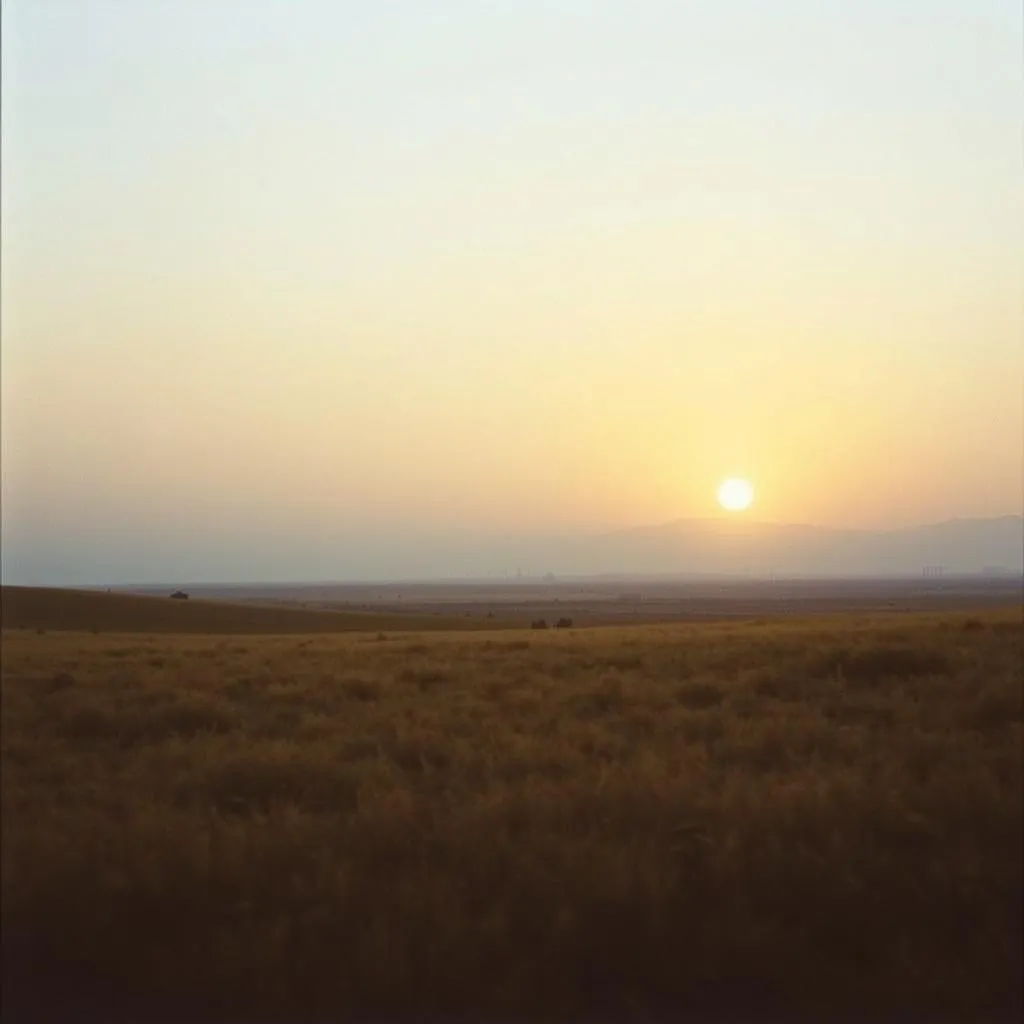 Dusk Of Me