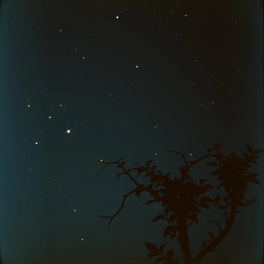 Sous les Étoiles