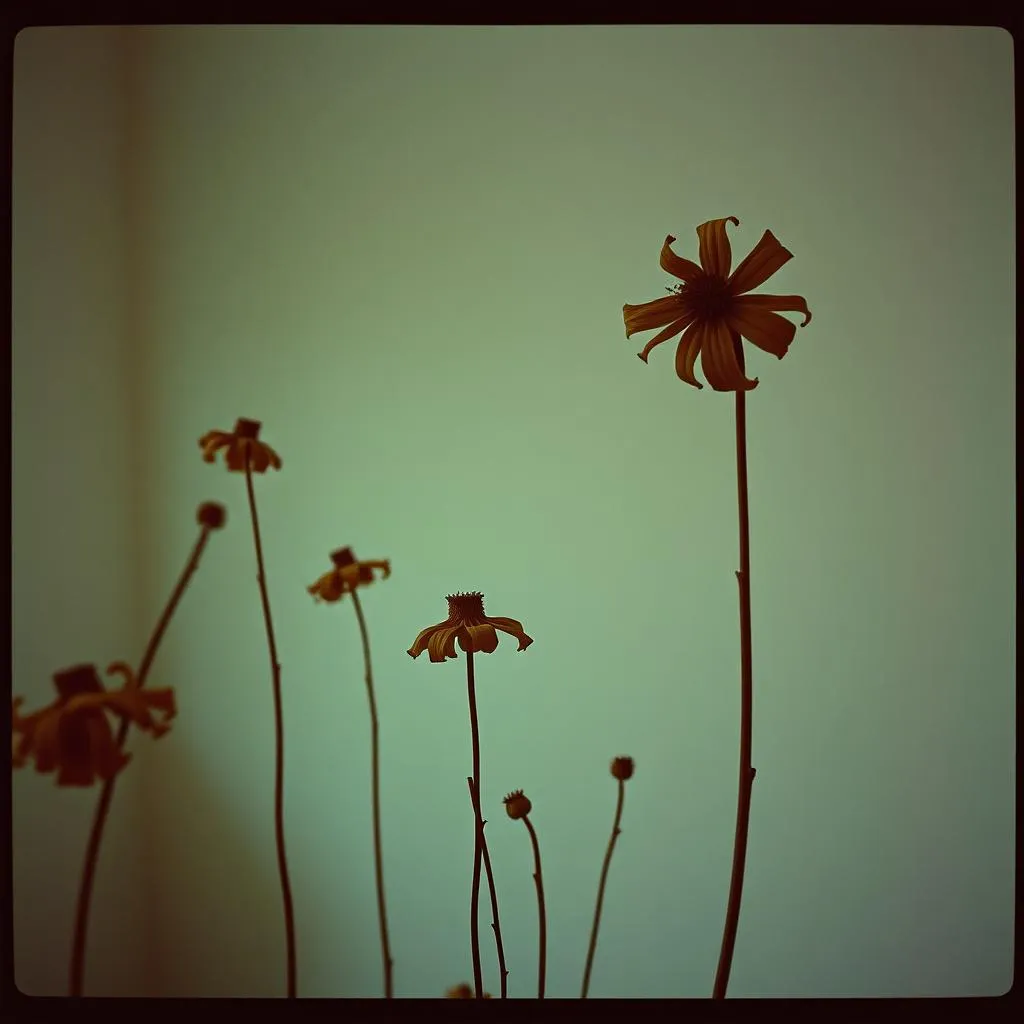 "When Love Dies"