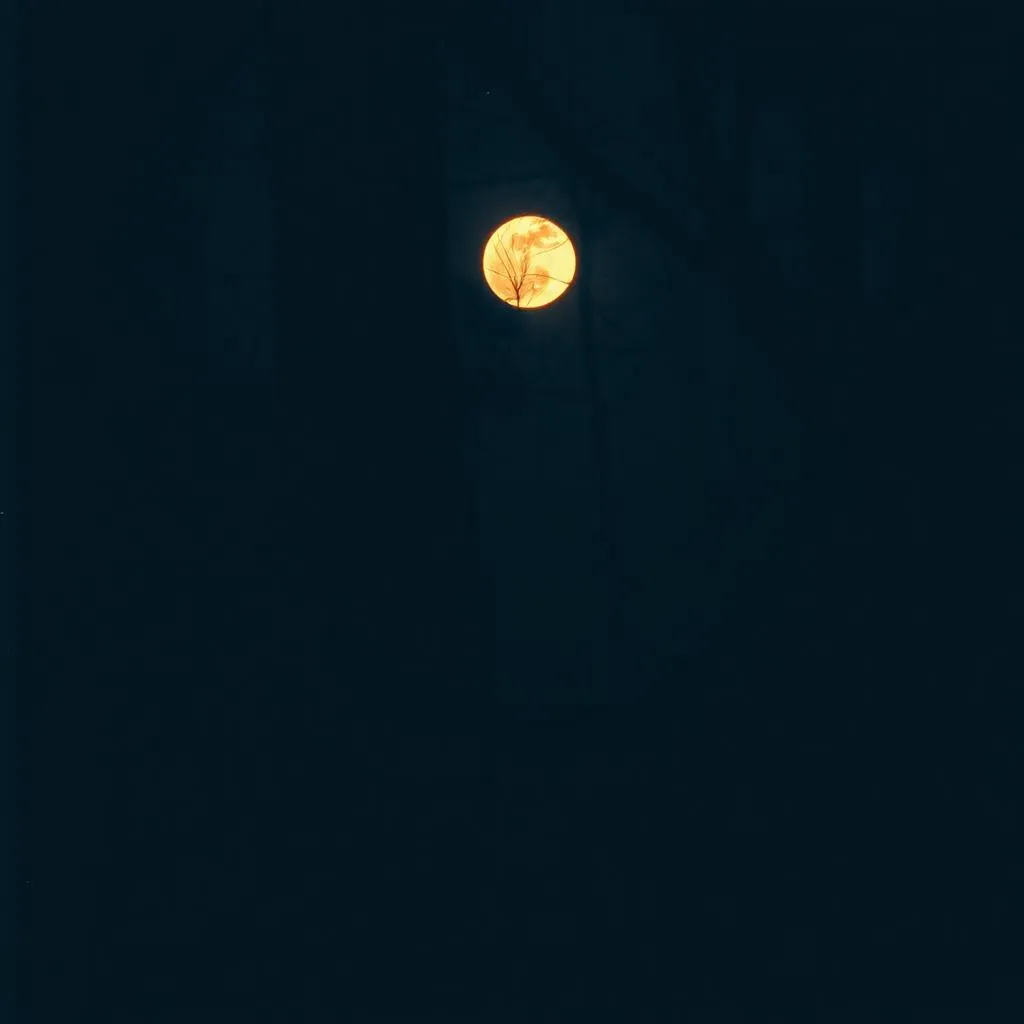 Lost in the Dark