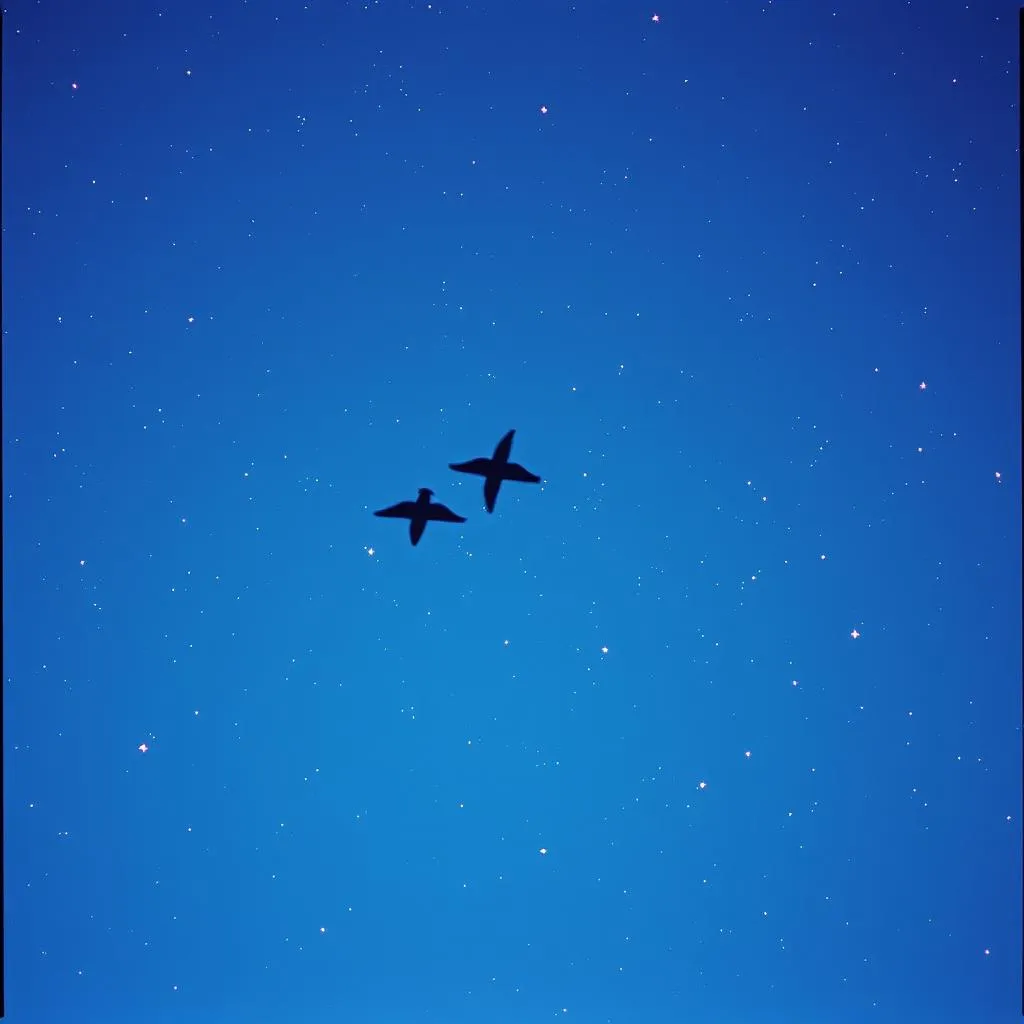 Soaring High ver 3.0