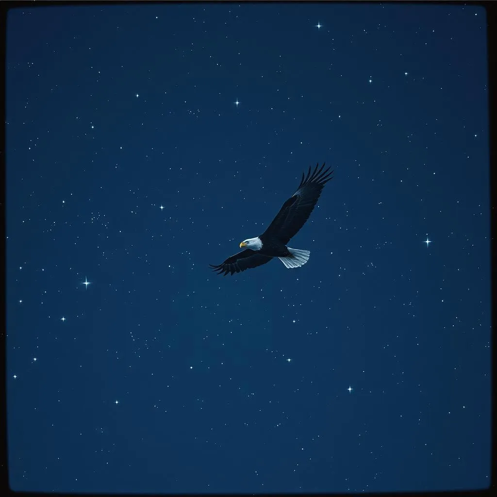 Wings of Freedom