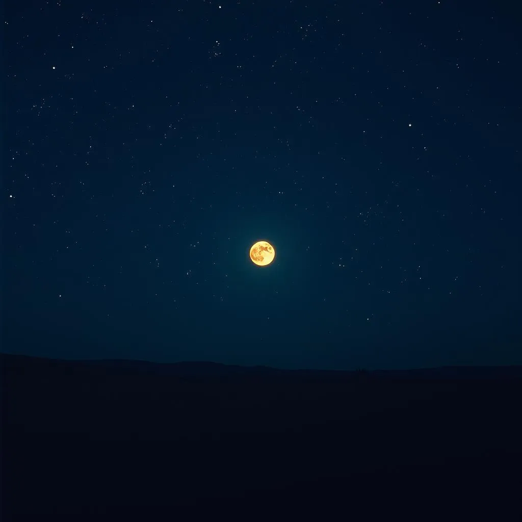 Under the stars(my creator)