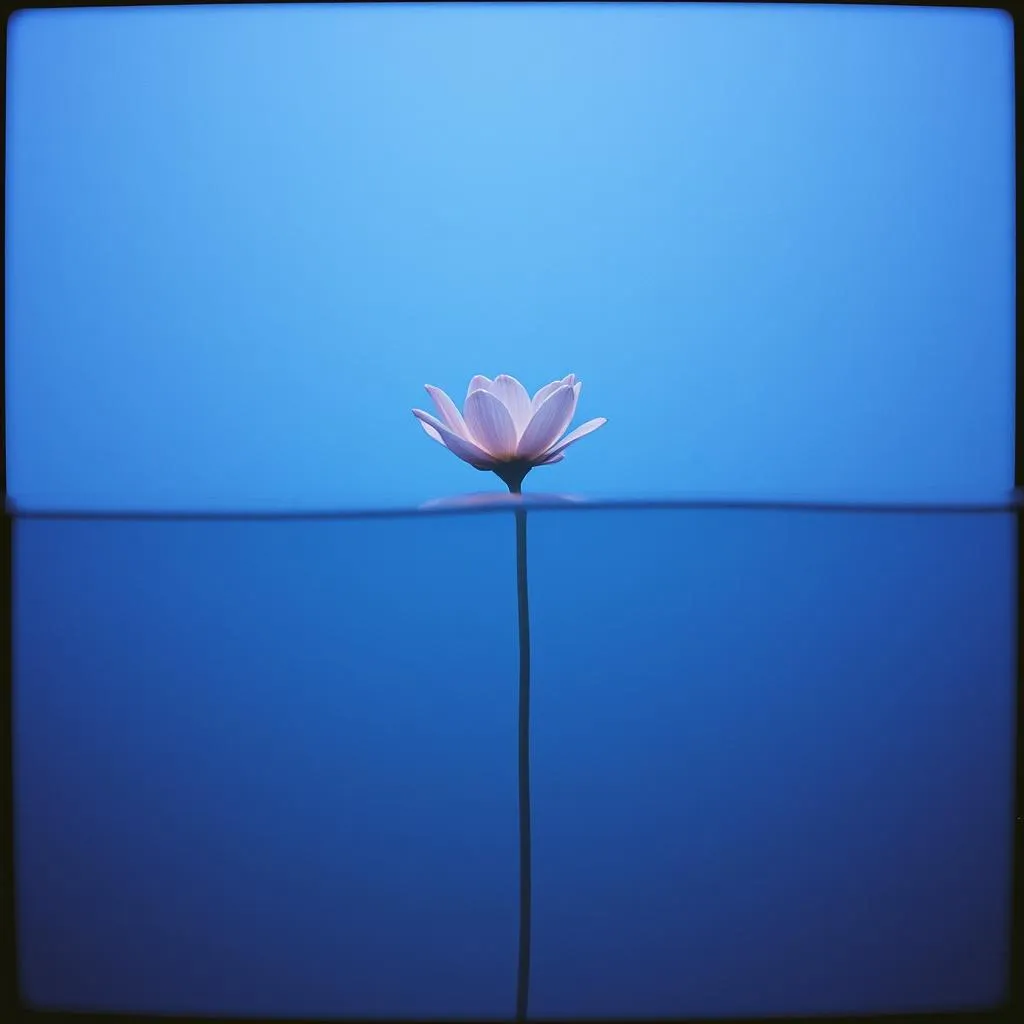 Drowning
