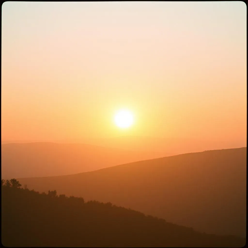 Morning Prayer of Gratitude