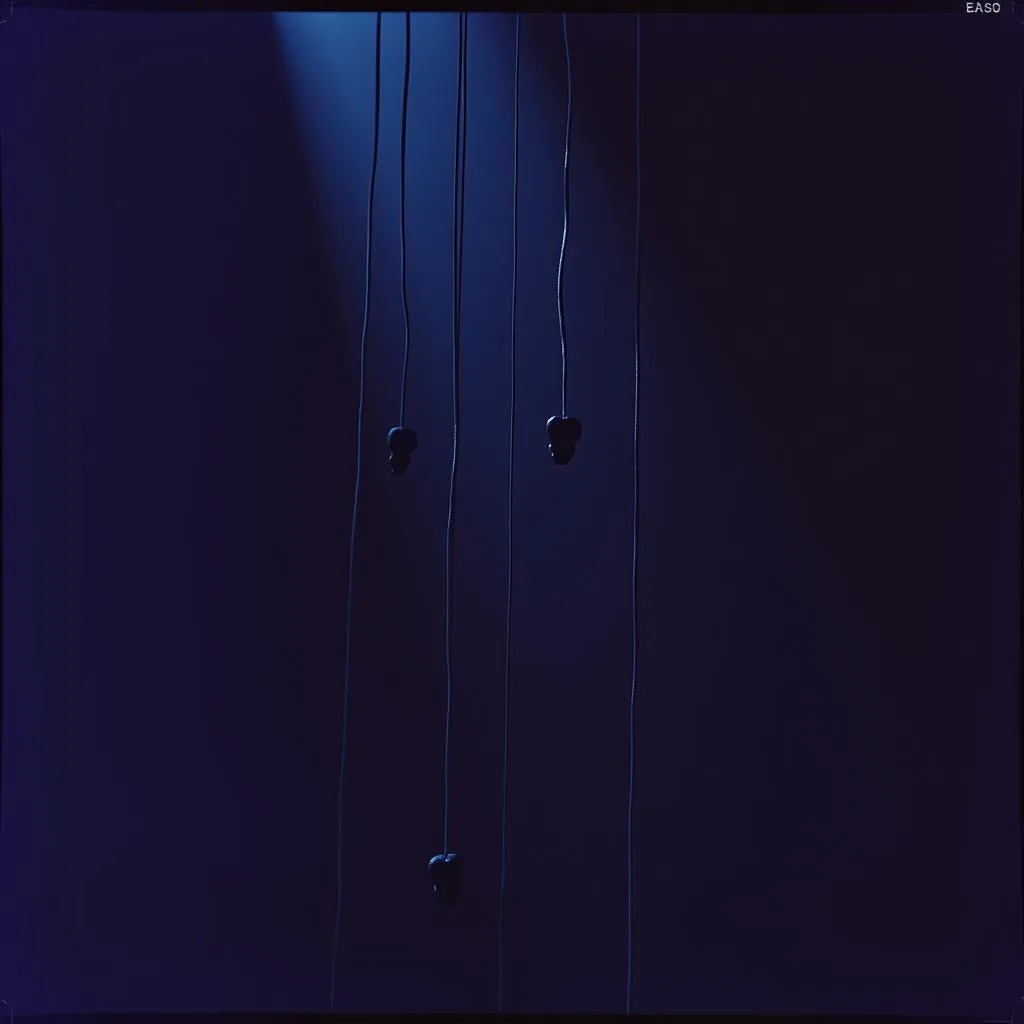 Strings in the Shadows