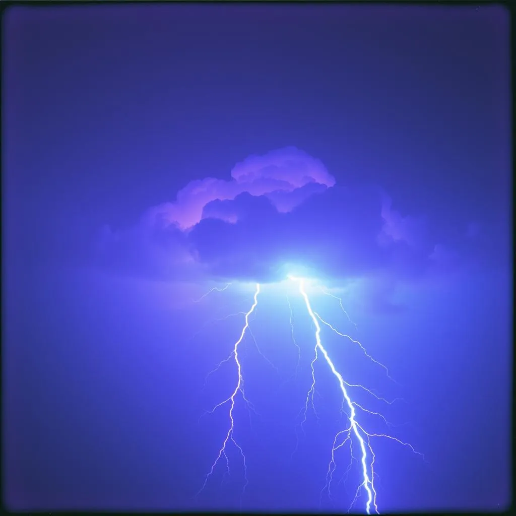 ECHO STORM - Hardy