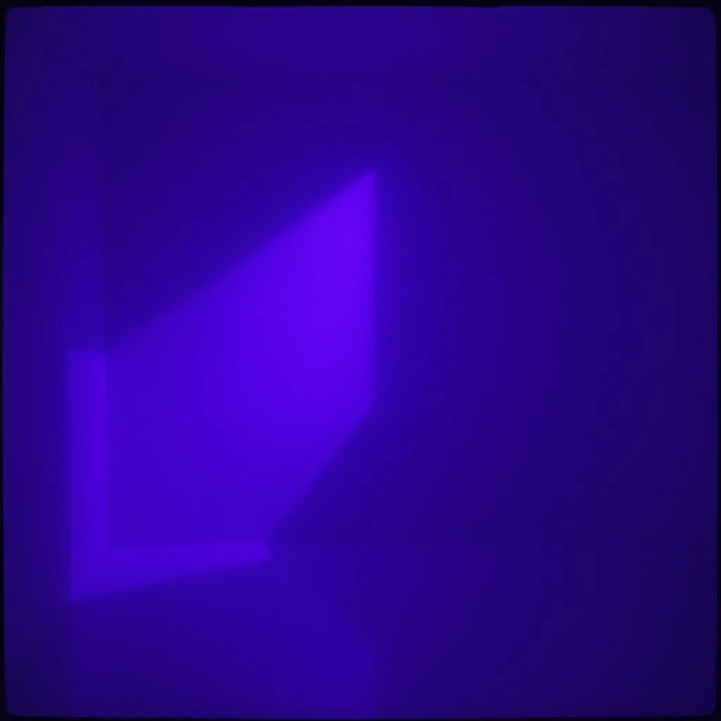 Black Light Halo