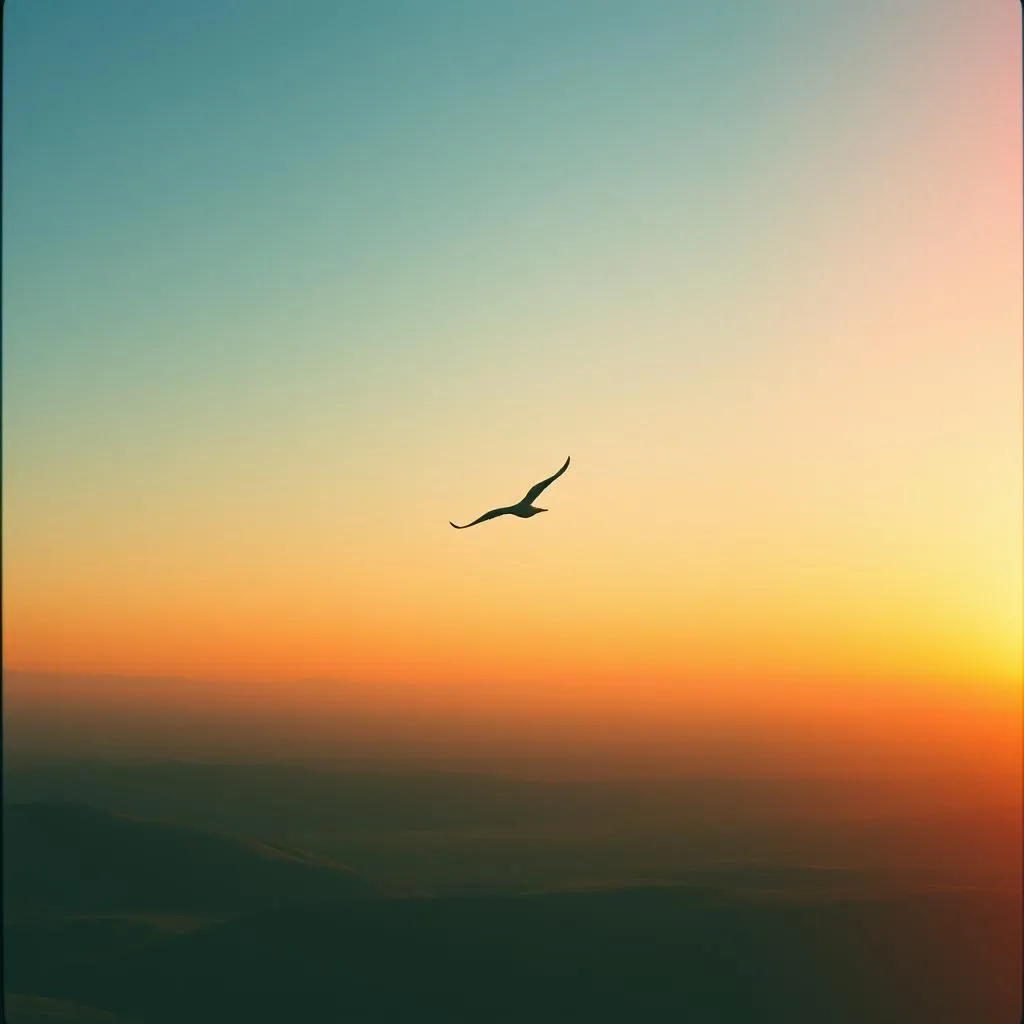 Ready to Fly