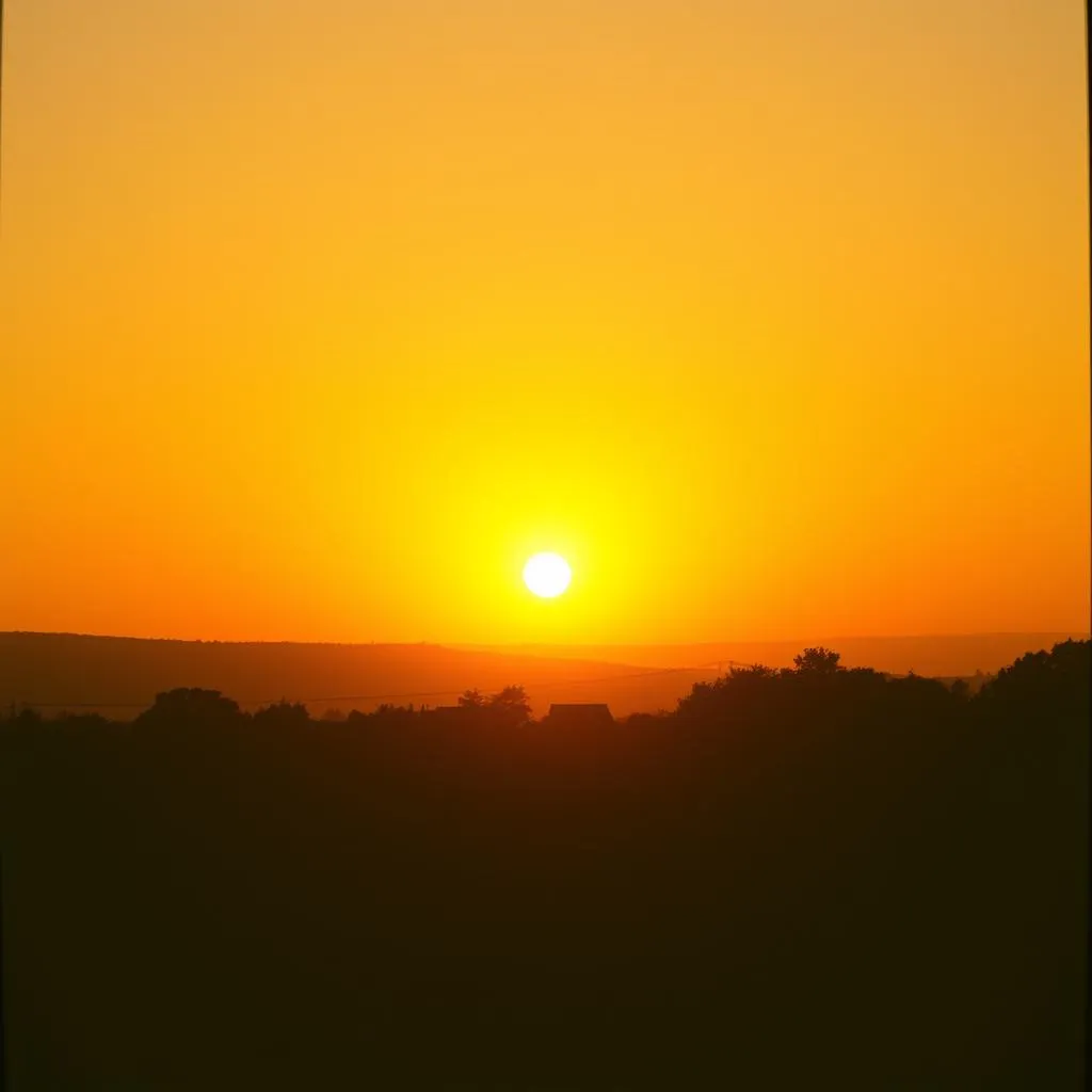 Run with the sun