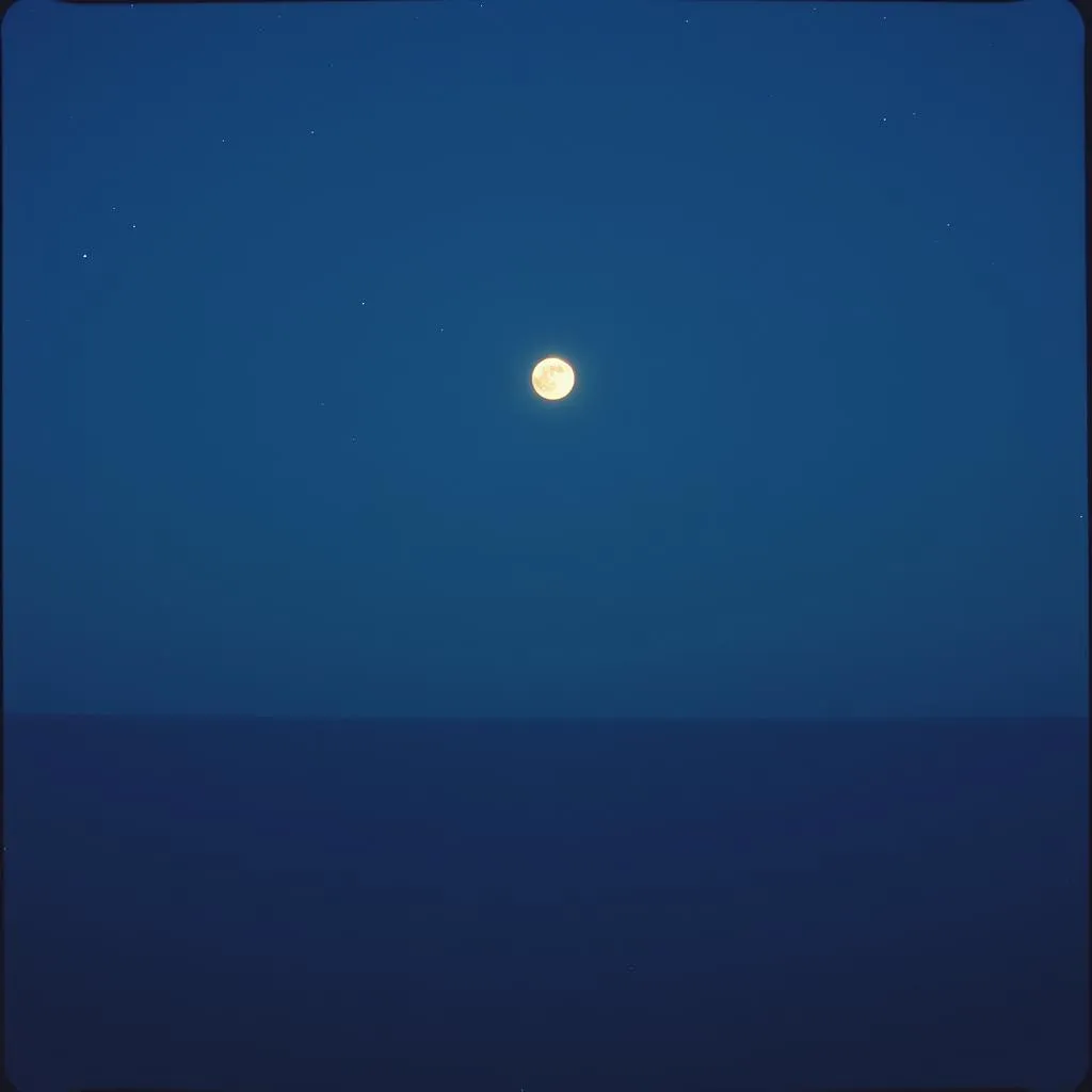 Bright Star in the Night