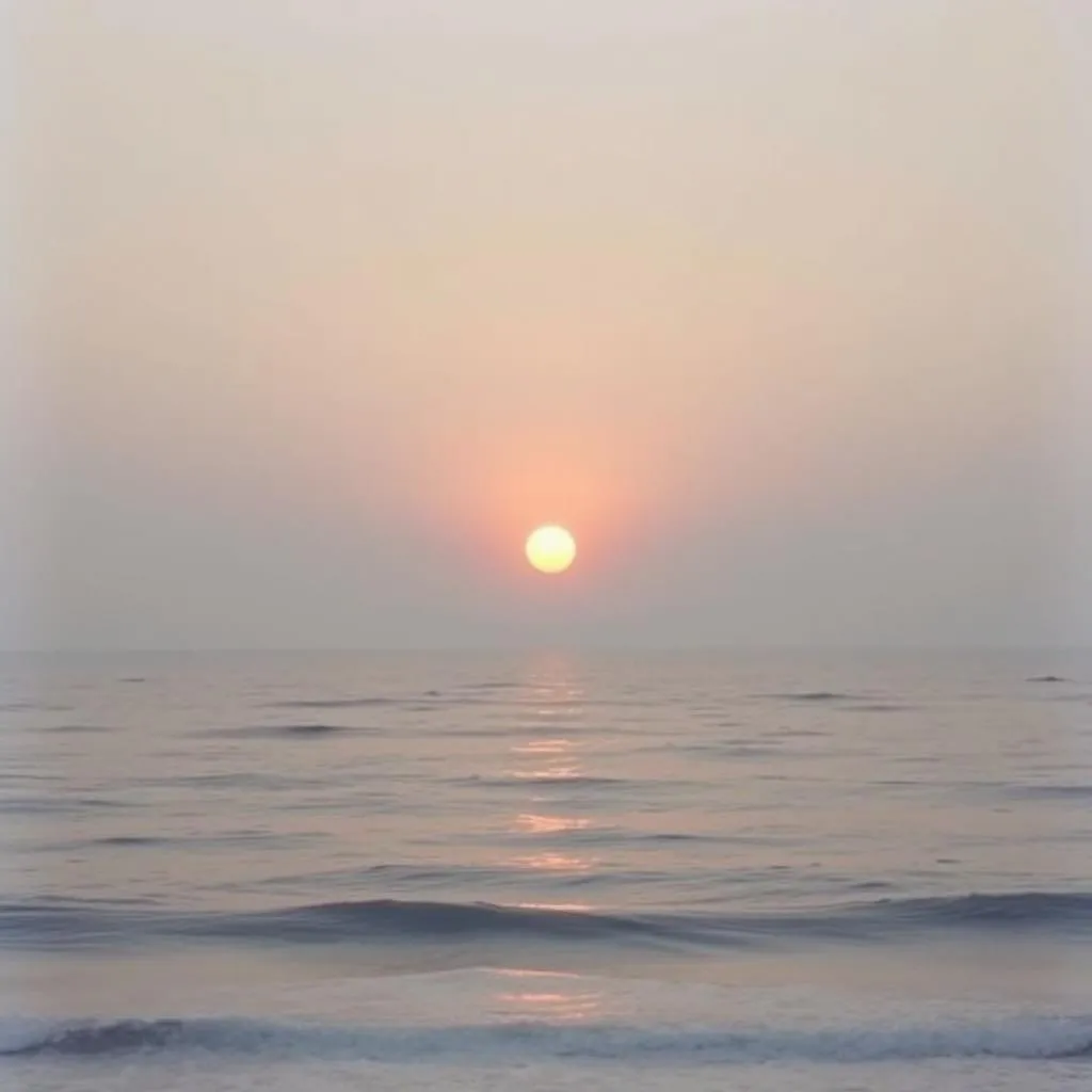 A Letter of Gratitude