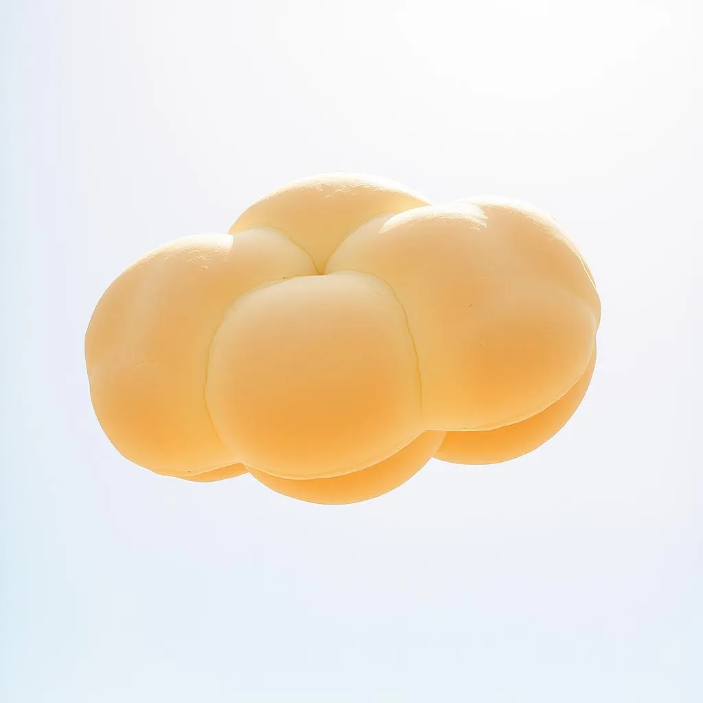 cloud bread