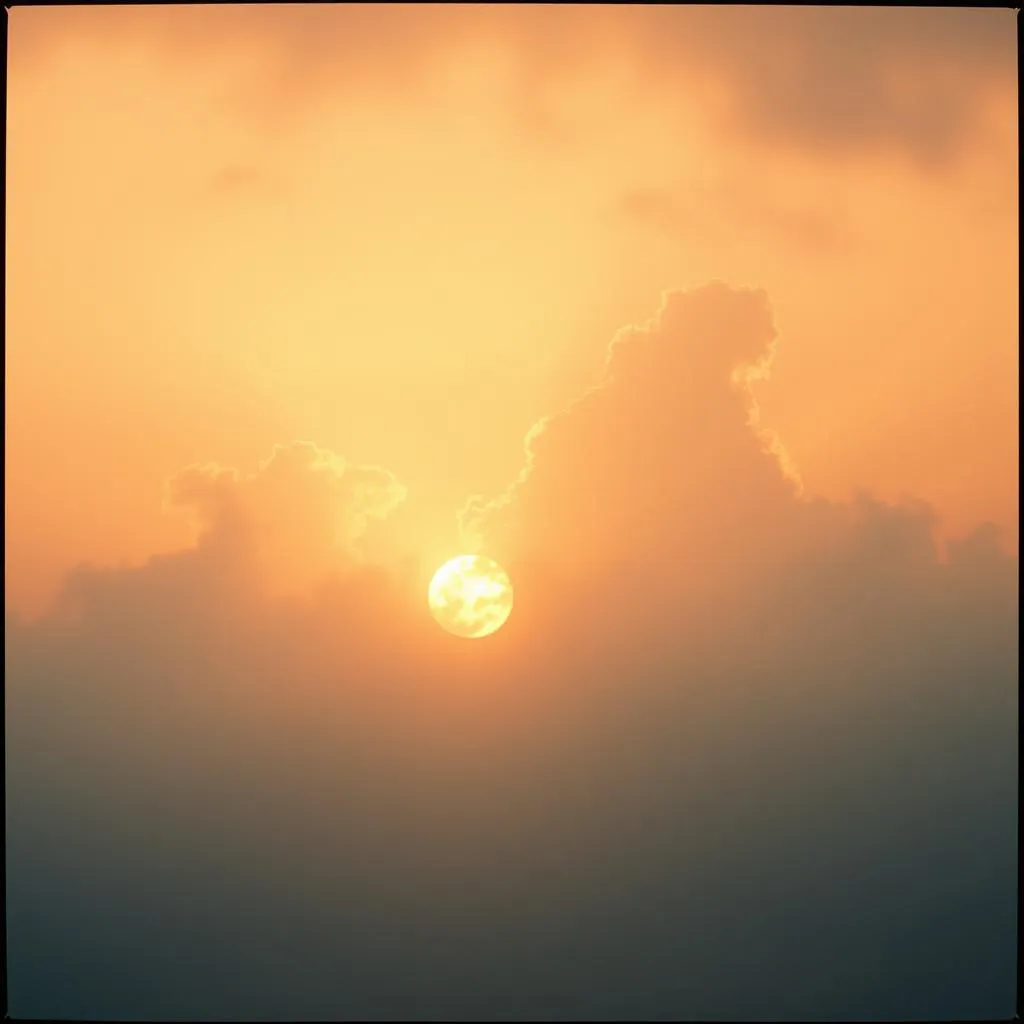 Rise in Hope