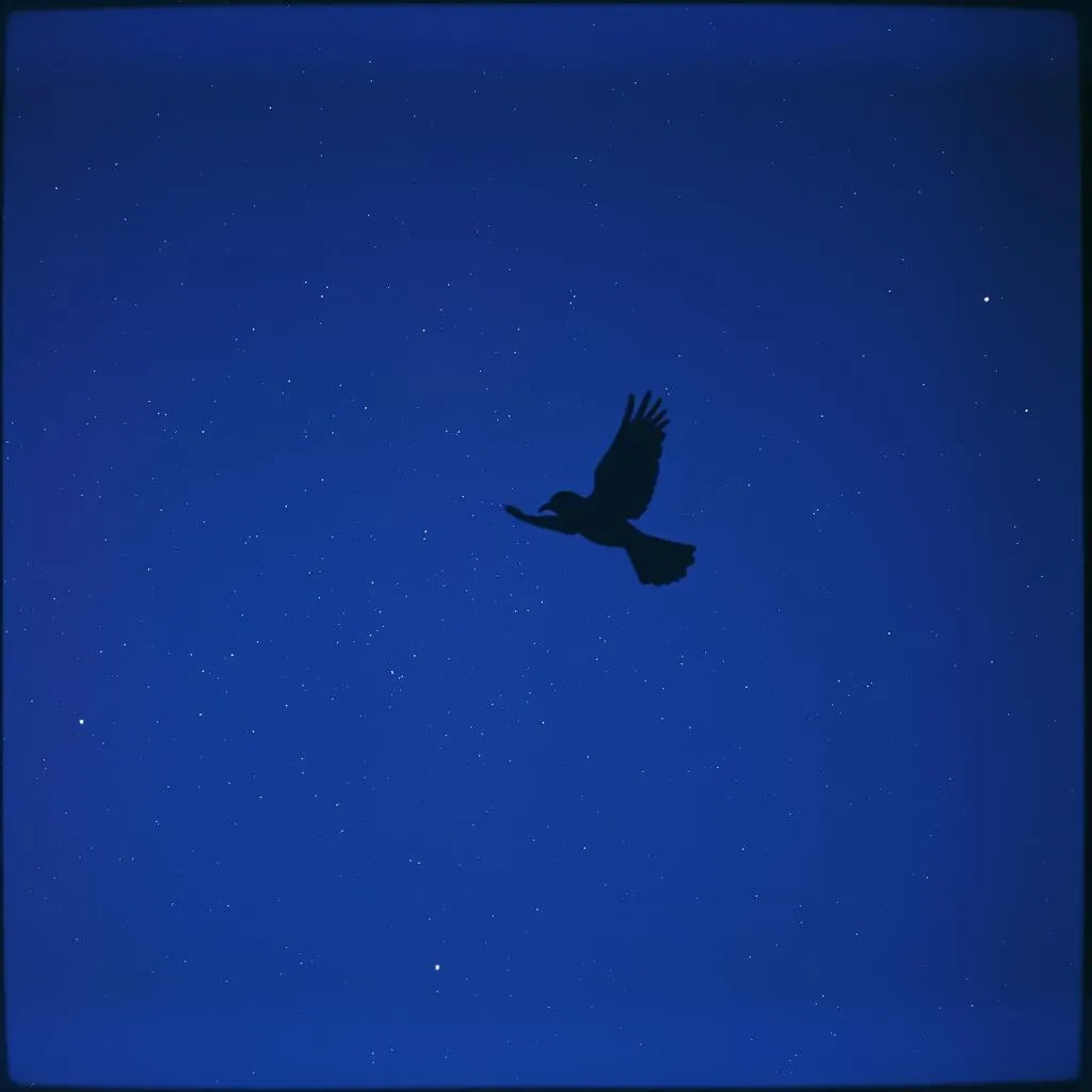 Left on the wing
