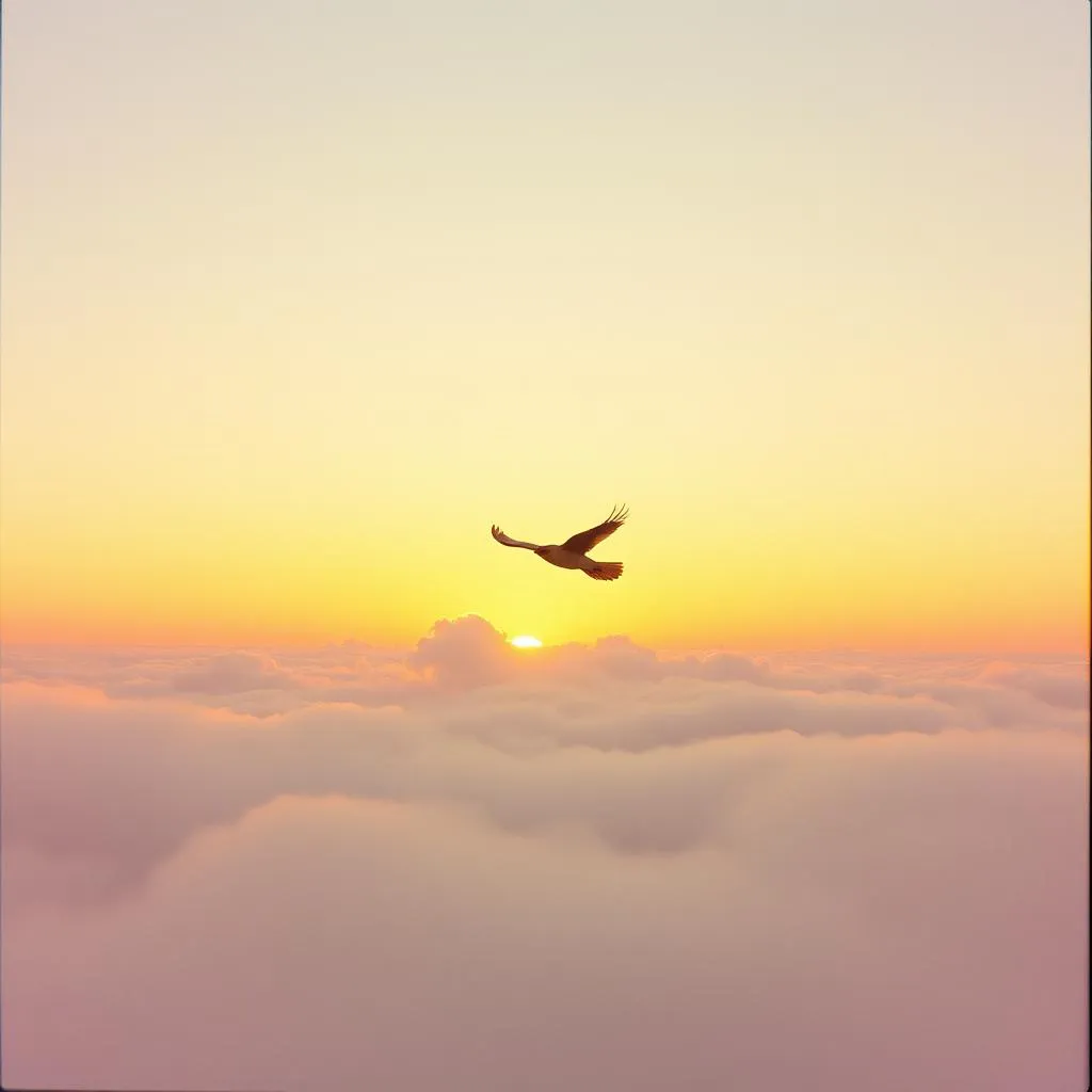 Razón para volar