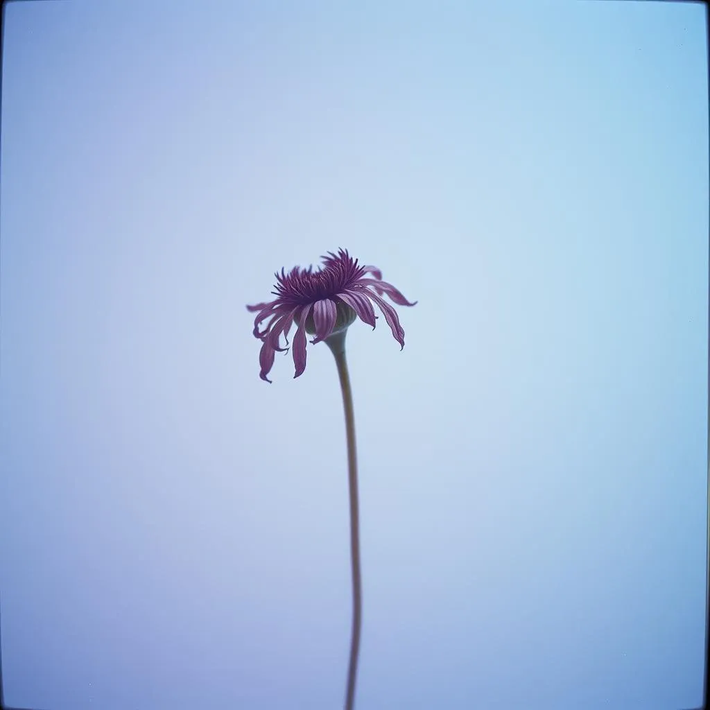 Crystalline and Paper-thin