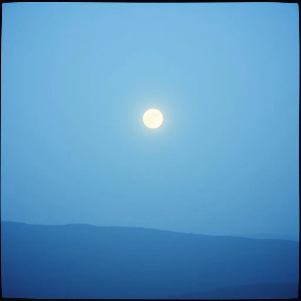 Nite light