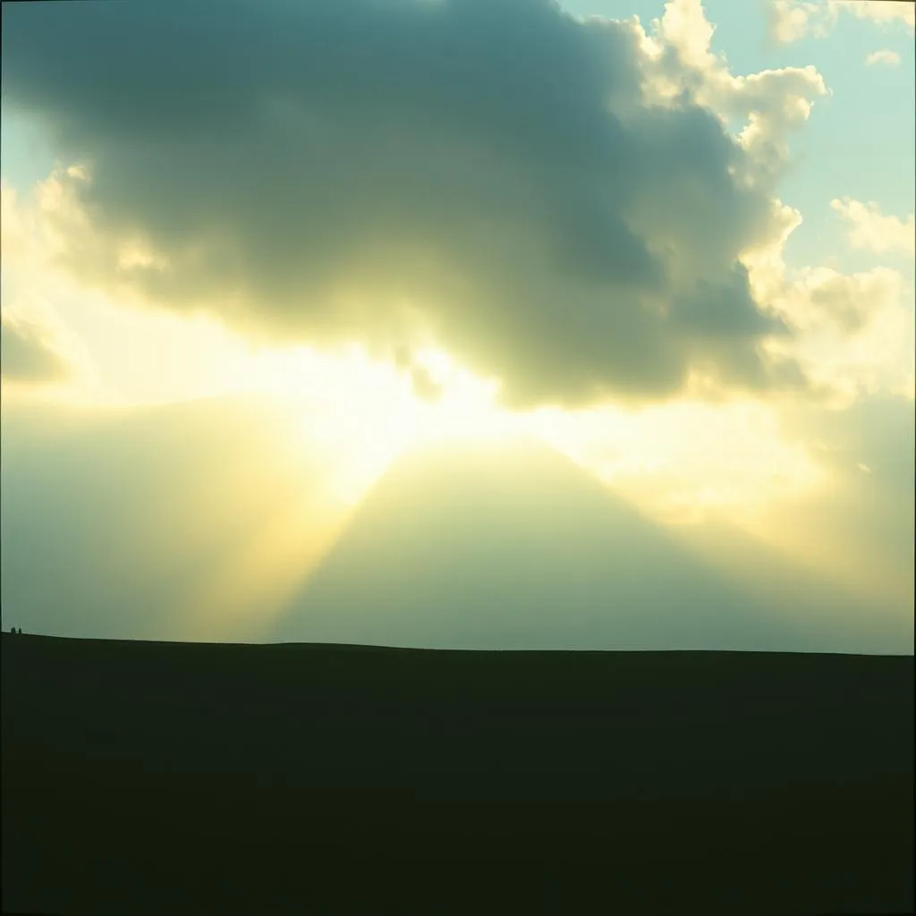 Like sunshine