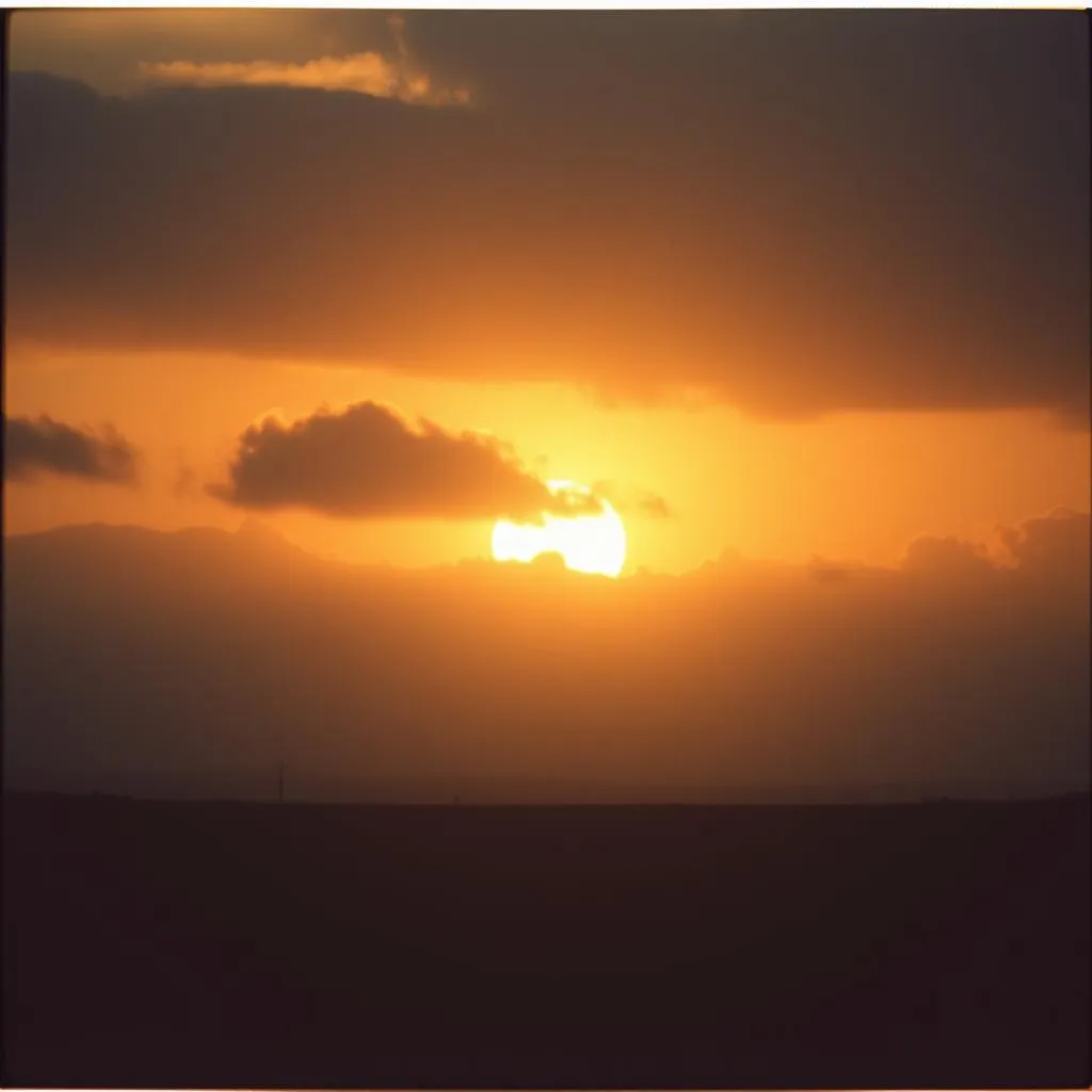Rise Like a Sun