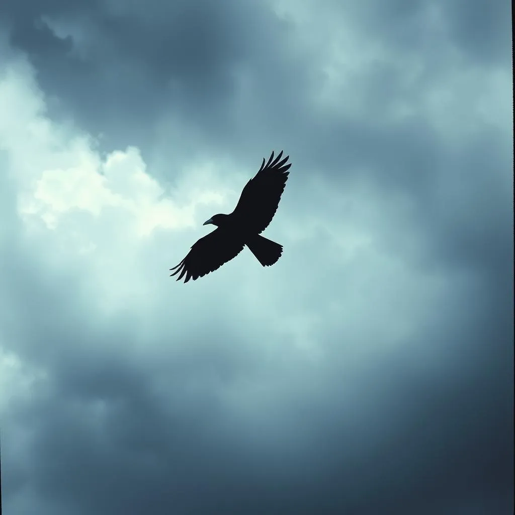 Wing of a Crow