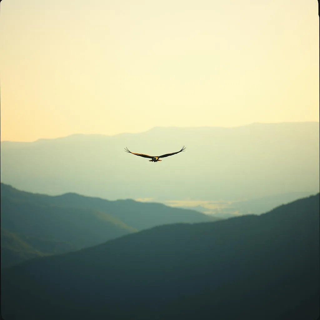 Reach For The Sun