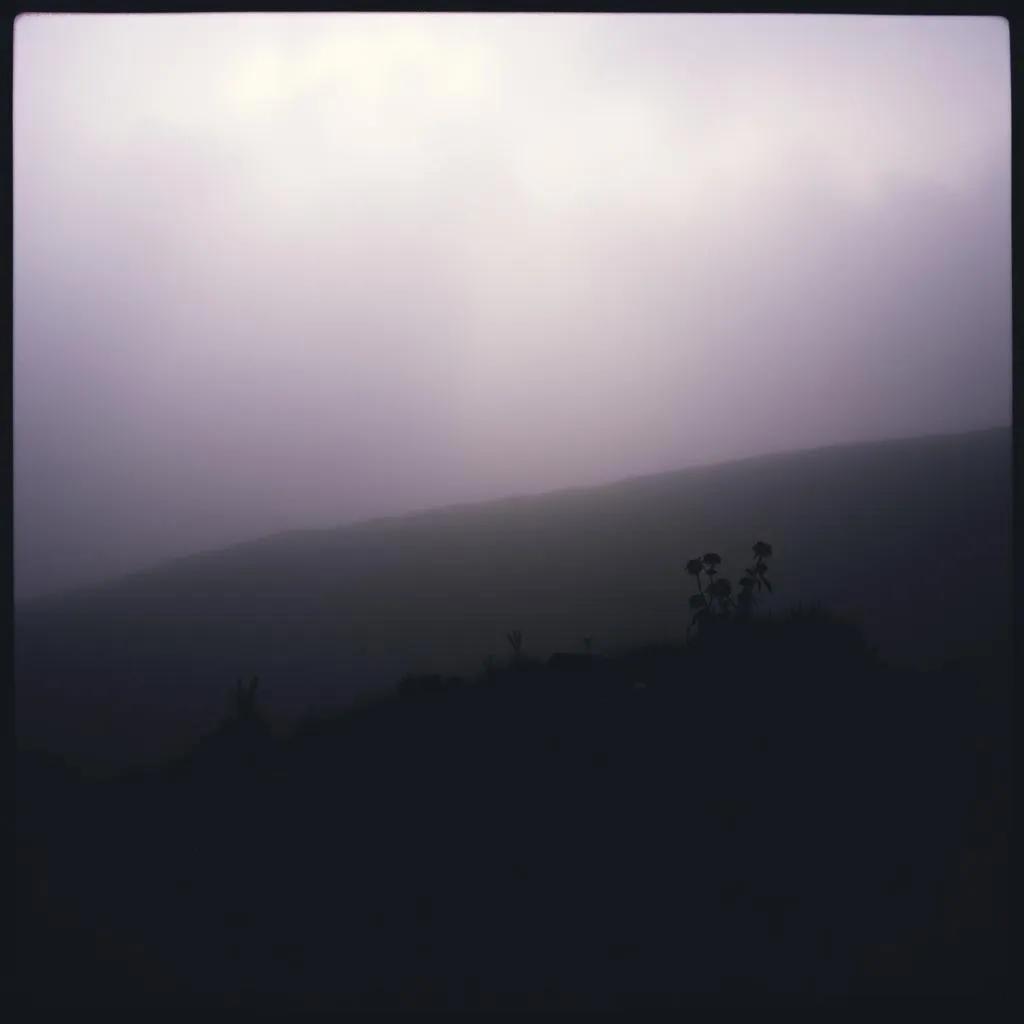 Voided Gaze