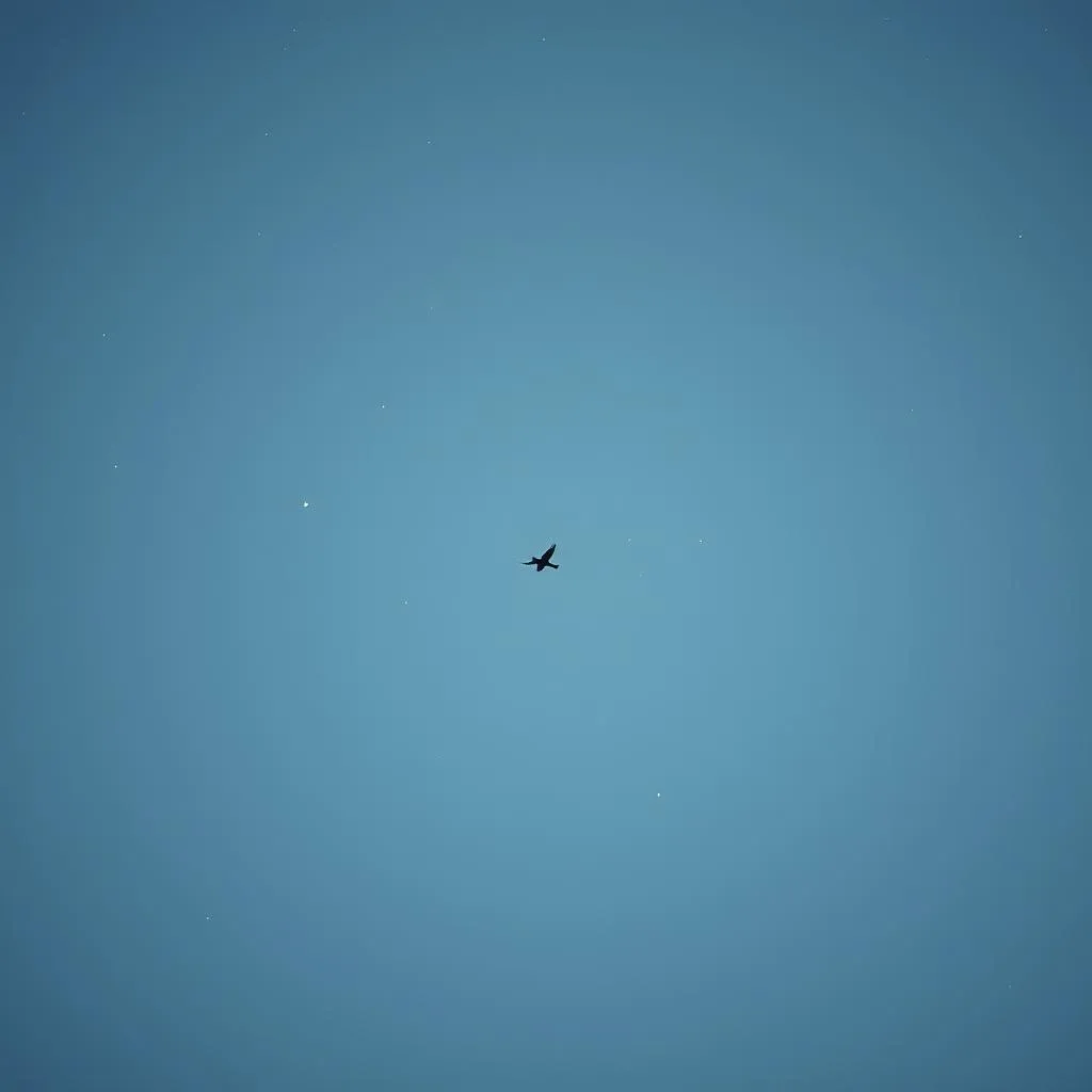 Voies Illimitées