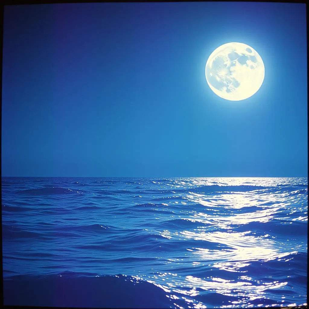 Moonlight Shining